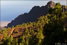 teneriffa 2011 - img_9293.jpg